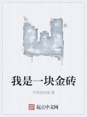 我是一块金砖