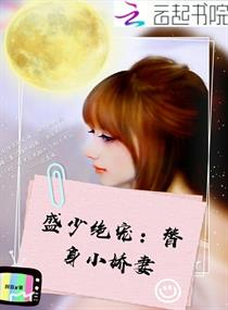 盛少绝宠：替身小娇妻