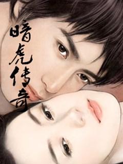 暗虎传奇