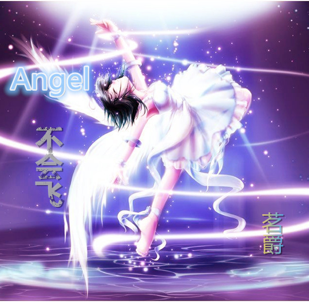 Angel不会飞