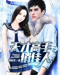 天才高手俏佳人