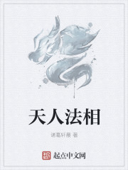 天人法相