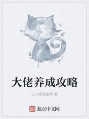 大佬养成攻略