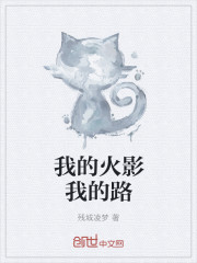 我的火影我的路