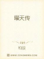 曜天传