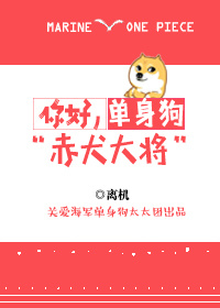[海贼王]你好，单身狗赤犬大将