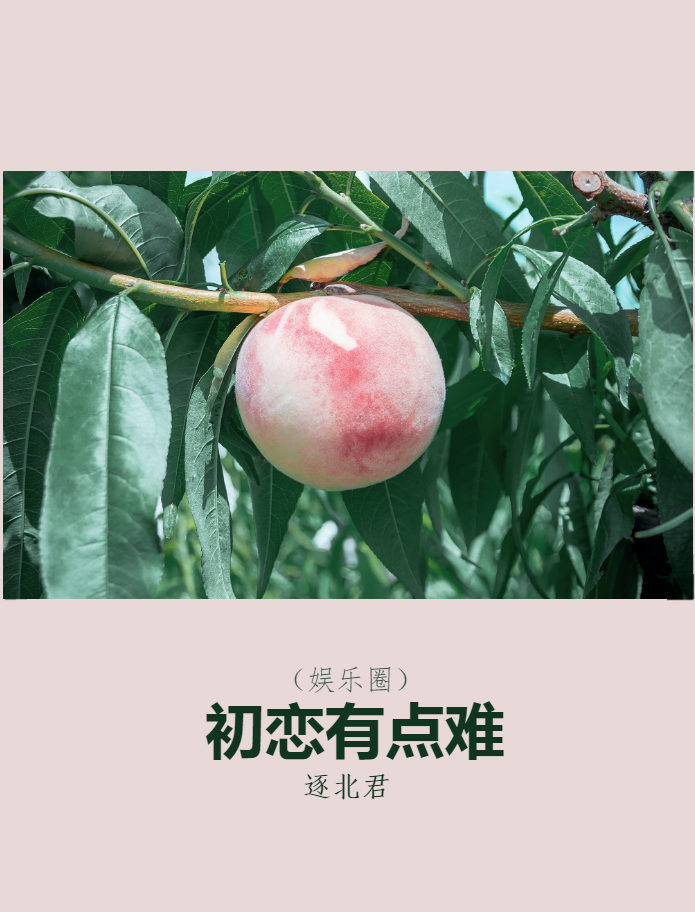 [娱乐圈]初恋有点难