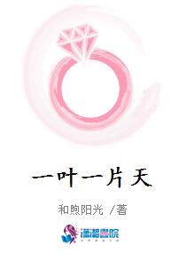 一叶一片天