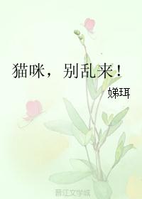 猫咪，别乱来！