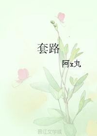 套路
