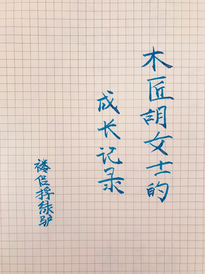 木匠胡女士的成长记录