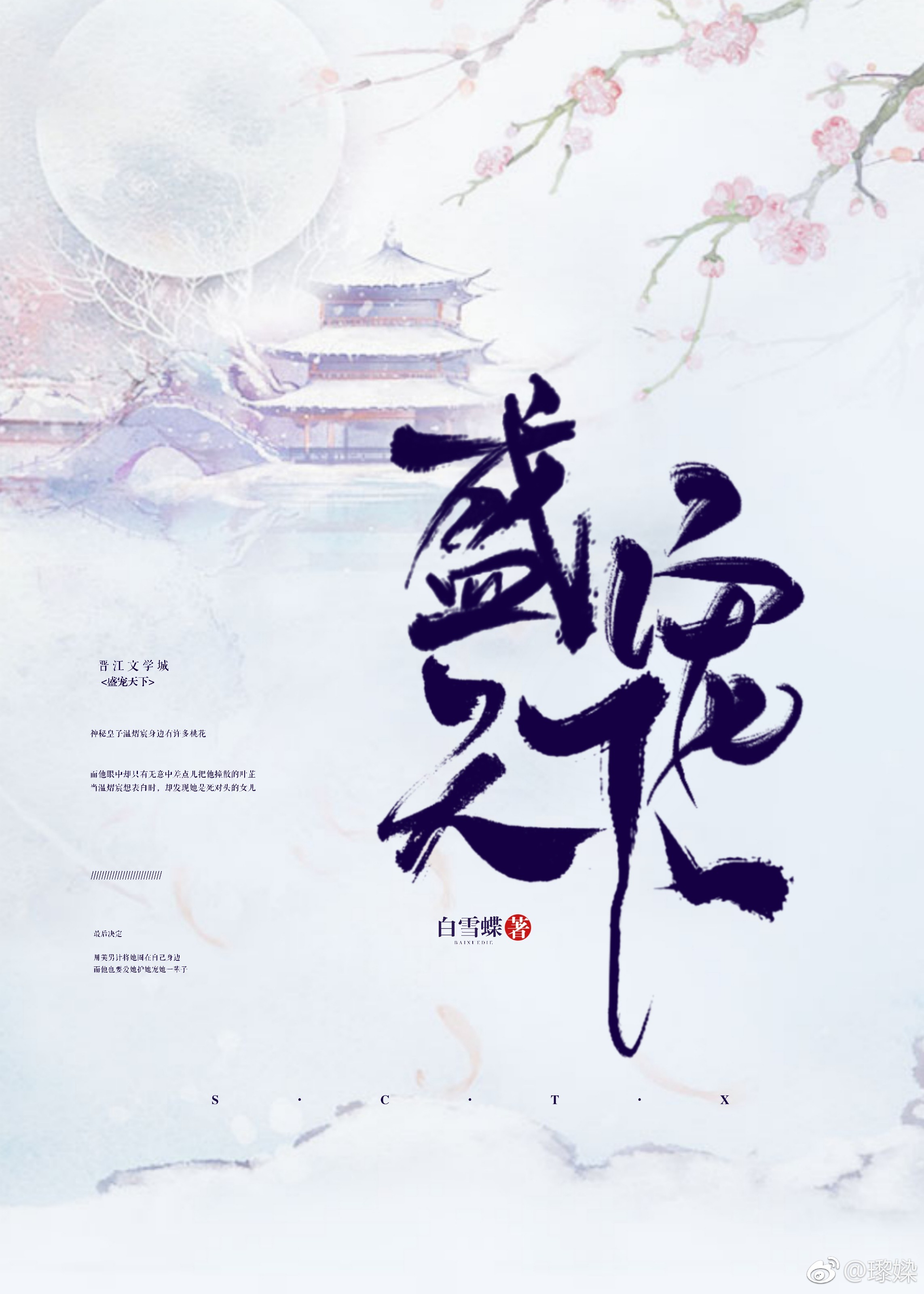 盛宠天下