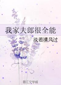 我家夫郎很全能