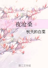 夜沧桑