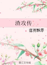 渣攻传