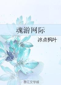 魂游网际