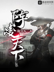 阵凌天下